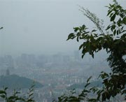 上虞天气预报15天