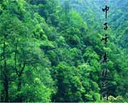 庆元天气预报40天