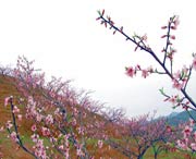 建宁明天天气