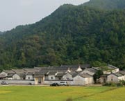 大埔天气预报7天